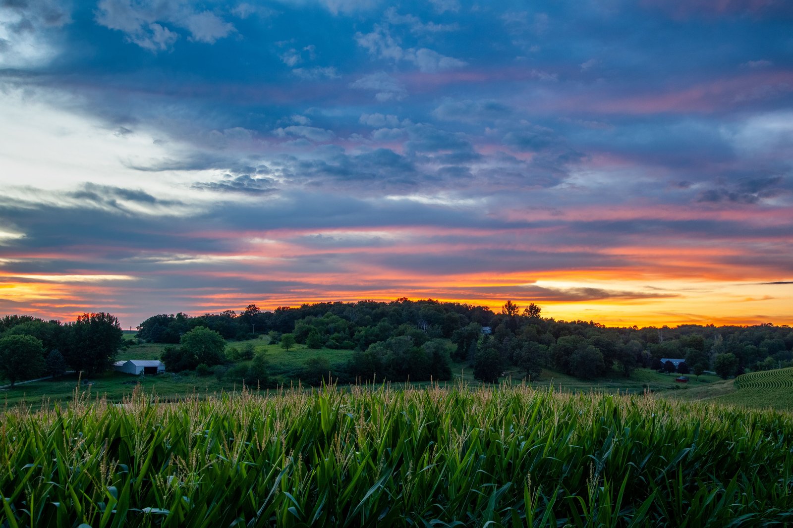 Iowa landscape